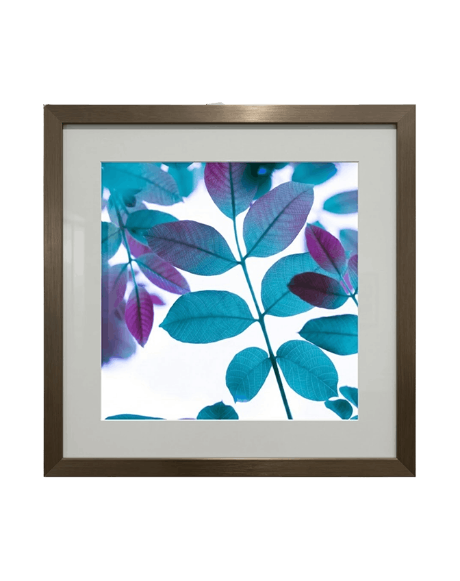Lumivex Canopy image